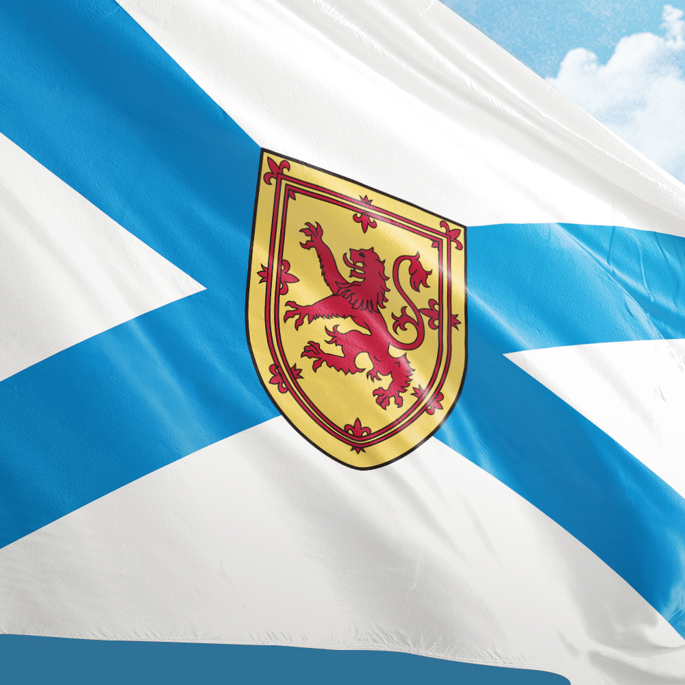 Canada Flag of Nova Scotia 3ft - Nova Decor & Lighting Julestjerne reseña y precio
